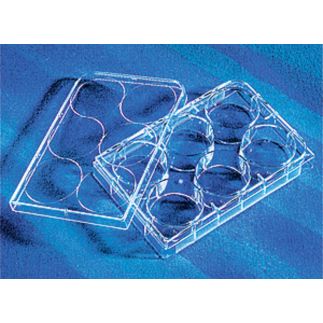 Microplaca 24 pocillos con tratamiento TC, transparente, estéril, 100 Uds., envase individual