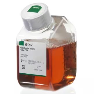 Fetal Bovine Serum, value - Antigua Ref. 10270106