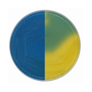 Agar CLED (Cistina Lactosa Electrolito Deficiente); 500 g