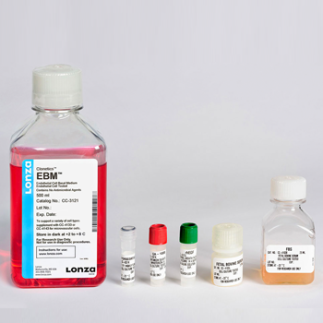 SFM - Medio especial células de microvasculatura endotelial, EGM-MV BulletKit, contiene medio basal y suplementos, 1 kit